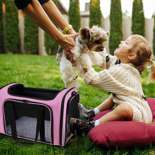 sac de transport chien 