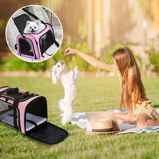 sac de transport chien 